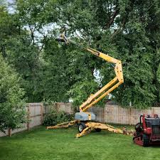 Best Tree Removal  in Pomeroy, WA