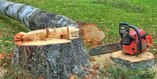 Best Firewood Processing and Delivery  in Pomeroy, WA